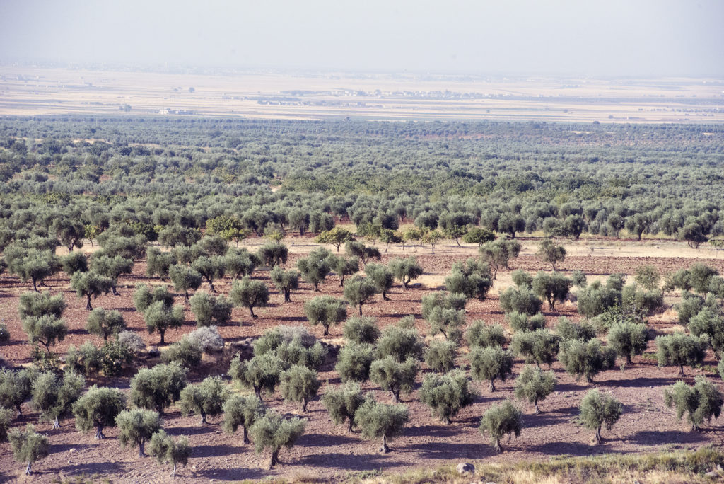 Photo courtesy of Kitchen Workshop and Kemal Vural Tarlan. Ganziatep Syria Turkey