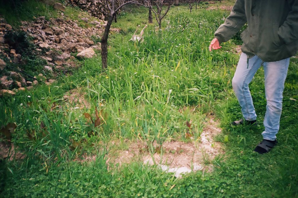 Bahaa in his garden Shot with a Yashica T5 on Kodak Portra 400, 35mm © Thalia Bassim