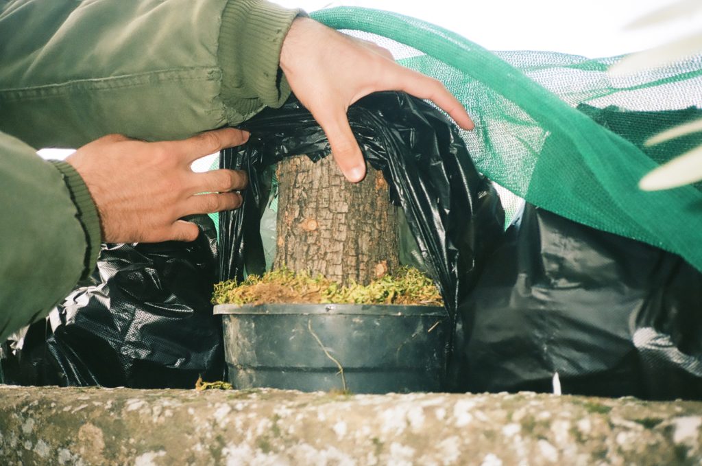 Bahaa showing how he grows funghi Shot with a Yashica T5 on Kodak Portra 400, 35mm © Thalia Bassim