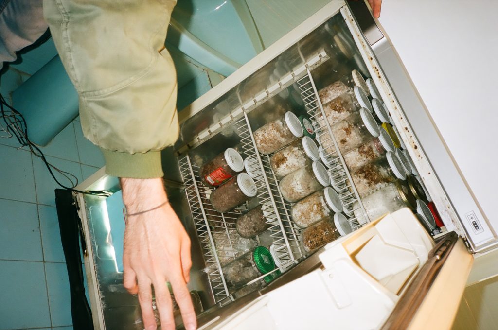 Bahaa showing how he grows funghi Shot with a Yashica T5 on Kodak Portra 400, 35mm © Thalia Bassim