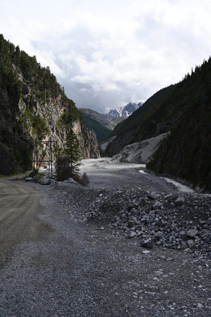 God da Tamangur (the Tamangour forest), Val S-Charl, Lower Engadin, Switzerland. Photo © Philipp Kolmann