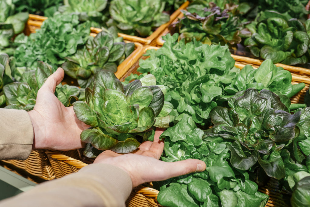 Vertical farm prototype. growing lettuce  Image courtesy &ever 