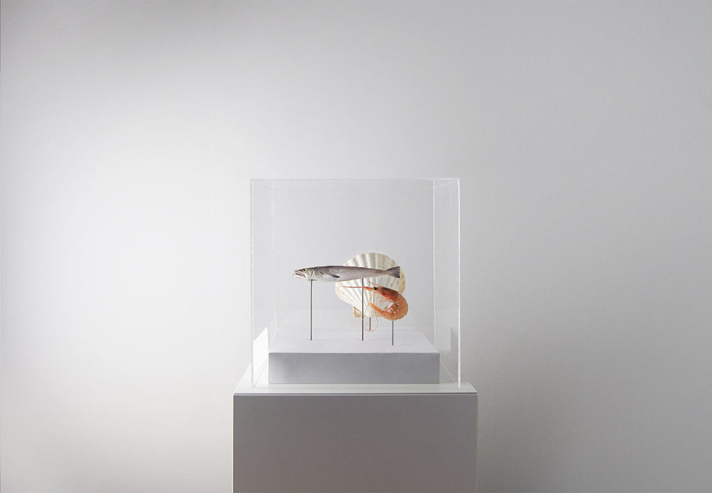 Image: "Fish; Exp. 2048" The Museum of Endangered Foods by Sharp & Sour