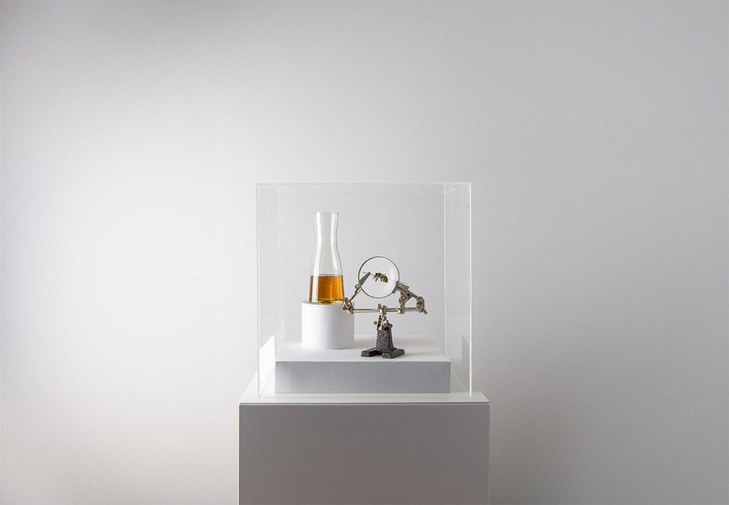 Image: "Honey: Exp. 2050" The Museum of Endangered Foods by Sharp & Sour