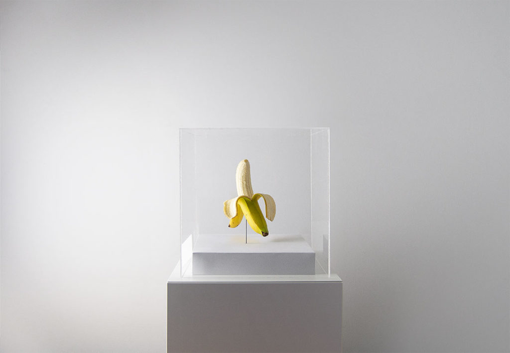 Image: "Bananas Exp. 2050" The Museum of Endangered Foods by Sharp & Sour