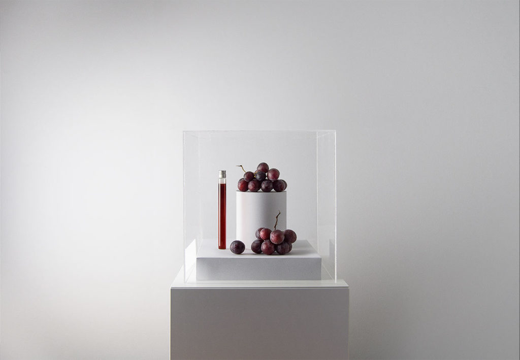 Image: "Wine: Exp. 2100" The Museum of Endangered Foods by Sharp & Sour