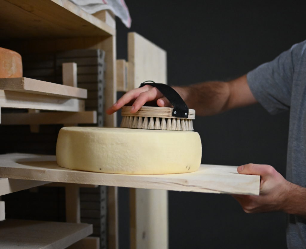 Tool of the “Cosmopolitan Cheese” project with Anastasia Eggers, Werkraum, Bregenzerwald, Austria, 2019. Photo © Anastasia Eggers & Philipp Kolmann