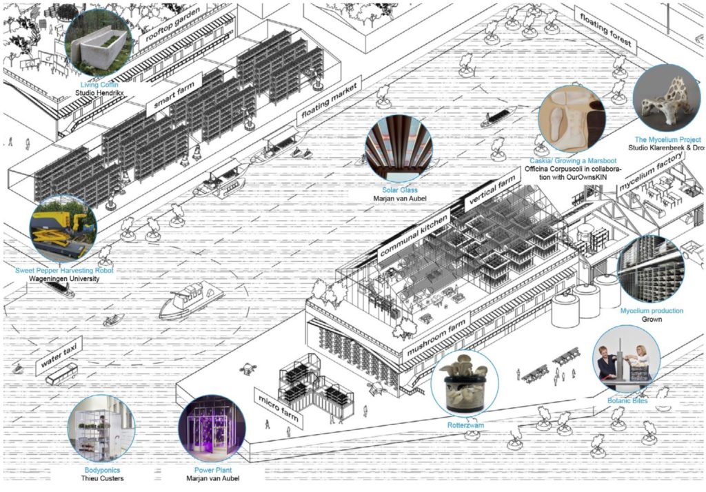 Fungi Production Landscape: Community for the Waterschool M4h+ by Studio Makkink & Bey 