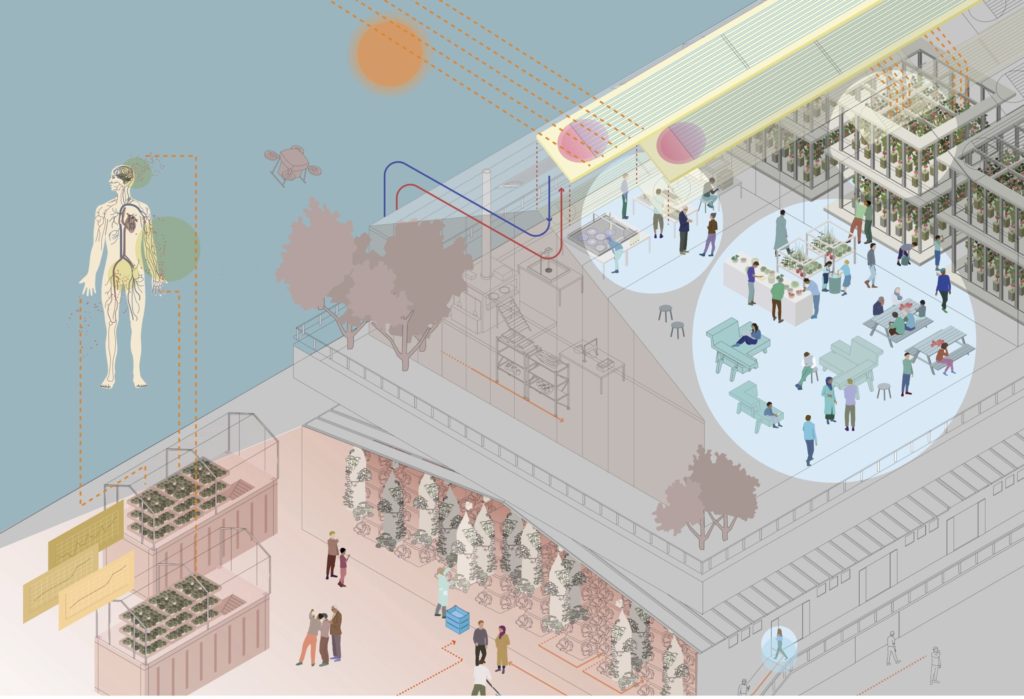 Fungi Scenario Visualisation by Juhee Hahm for the Waterschool M4h+ by Studio Makkink & Bey 