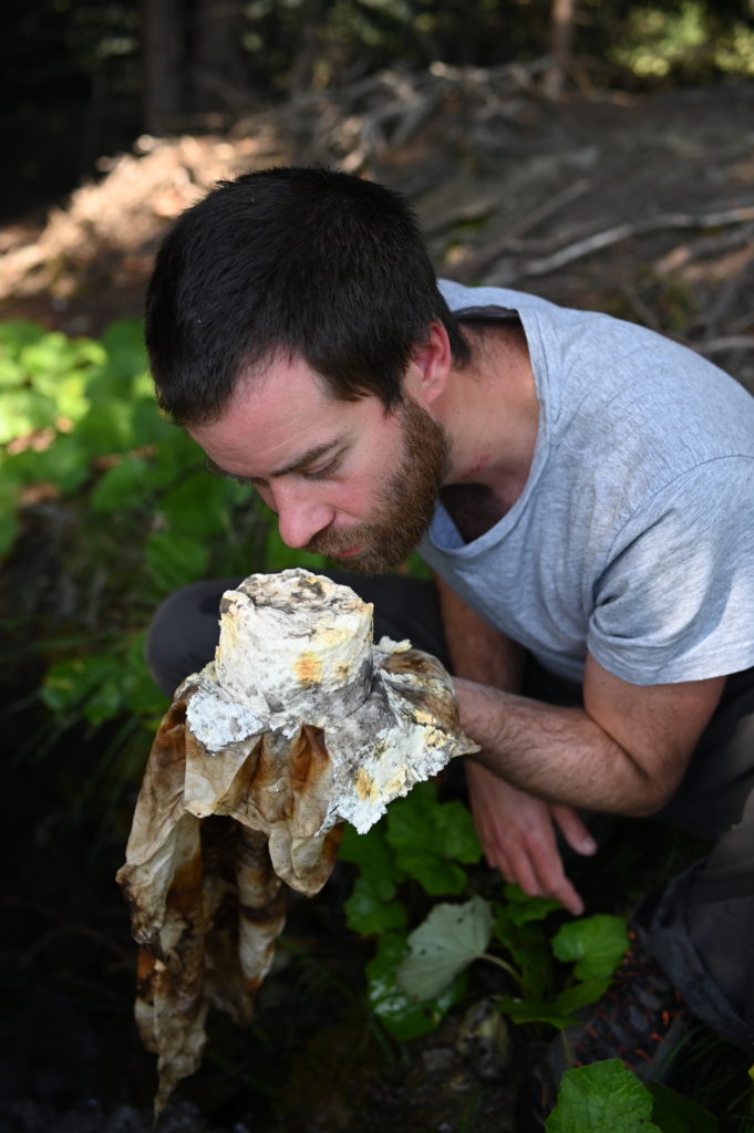 Philipp Kolmann examining butter he had buried for a year in order to capture and nurture Alpine microbes for his fermentation experiments. Photo © Philipp Kolmann