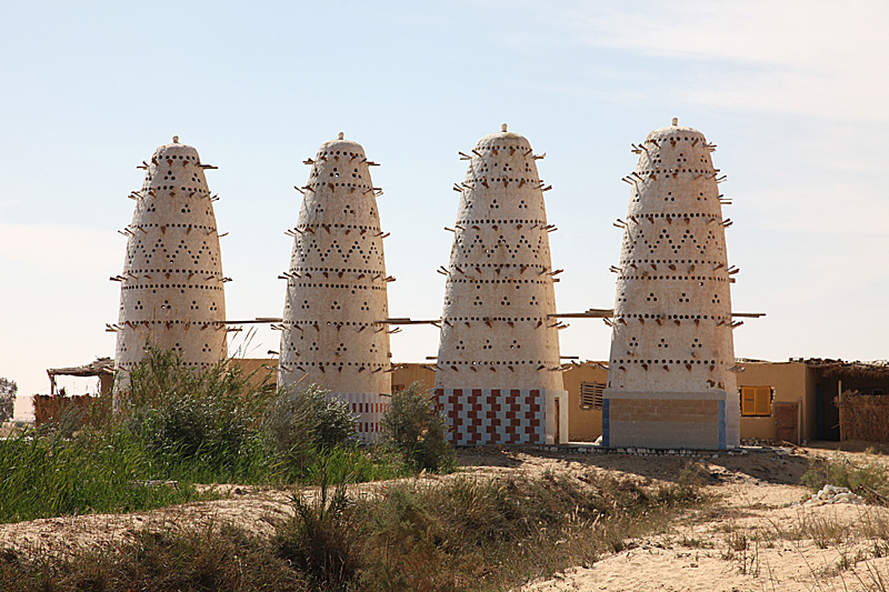 Pigeon towers in Siwa, Egypt. Photo: Roland Unger, Wiki Commons