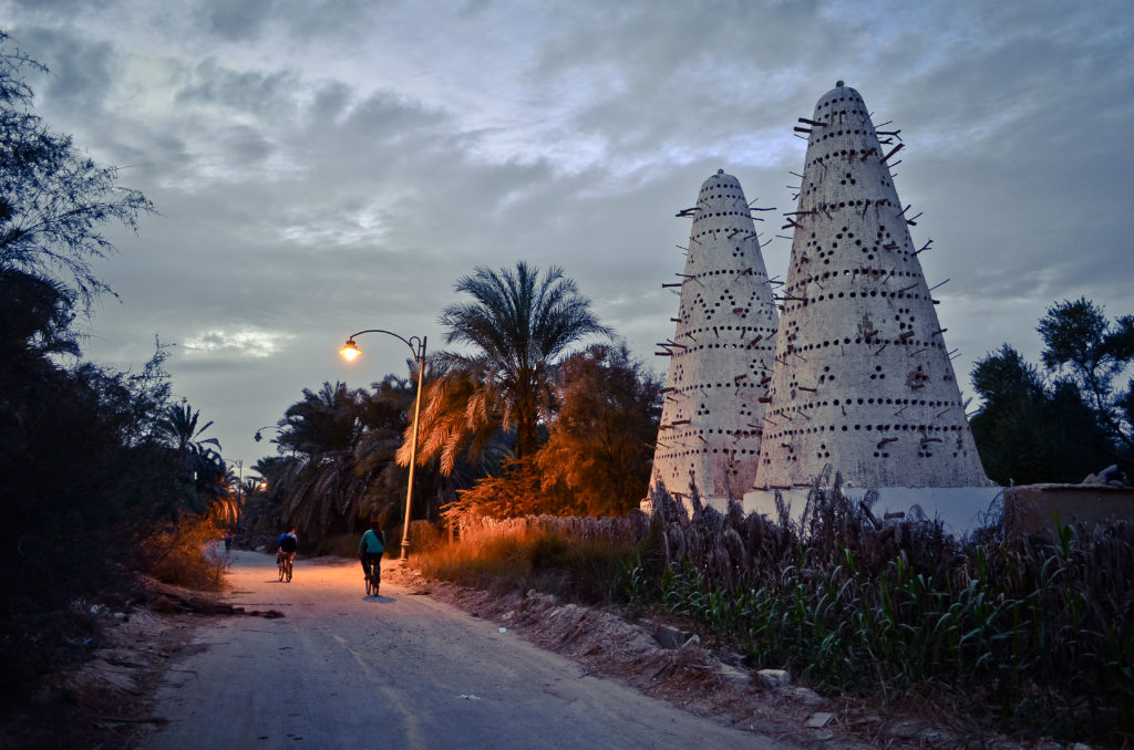 Pigeon towers at the Siwa Oasis. Photo: Mohammed Moussa, Wiki Commons