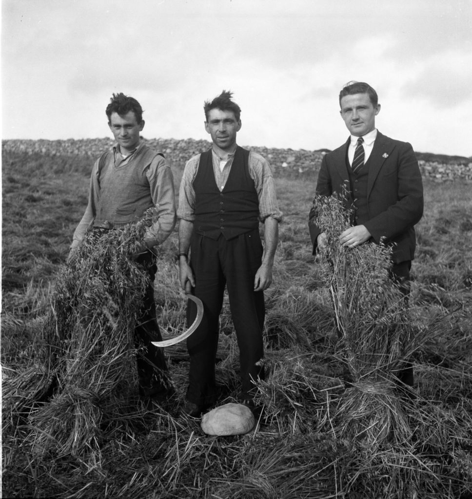 "Harvest", Lergynasearhagh, County Donegal, c. 1937. Photo: Séamus Ó Duilearga, by Dúchas © National Folklore Collection UCD.