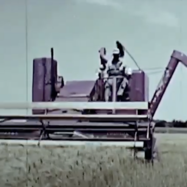 Kansas grain harvest 1956