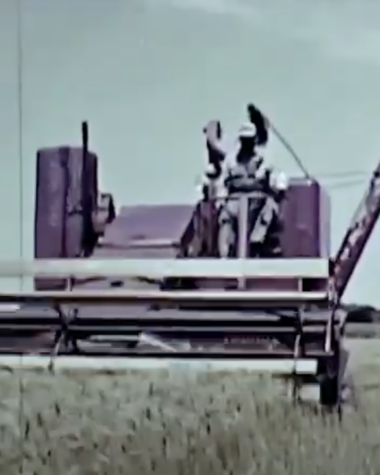 Kansas grain harvest 1956