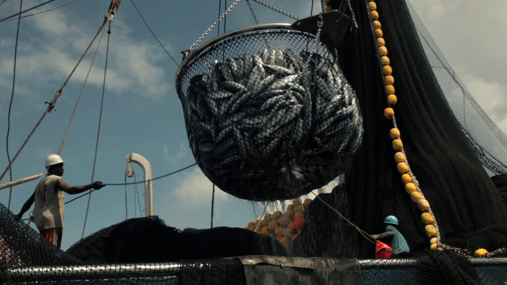 Deck view of a purse seine fishing vessel for skipjack tuna in the Western and Central Pacific.