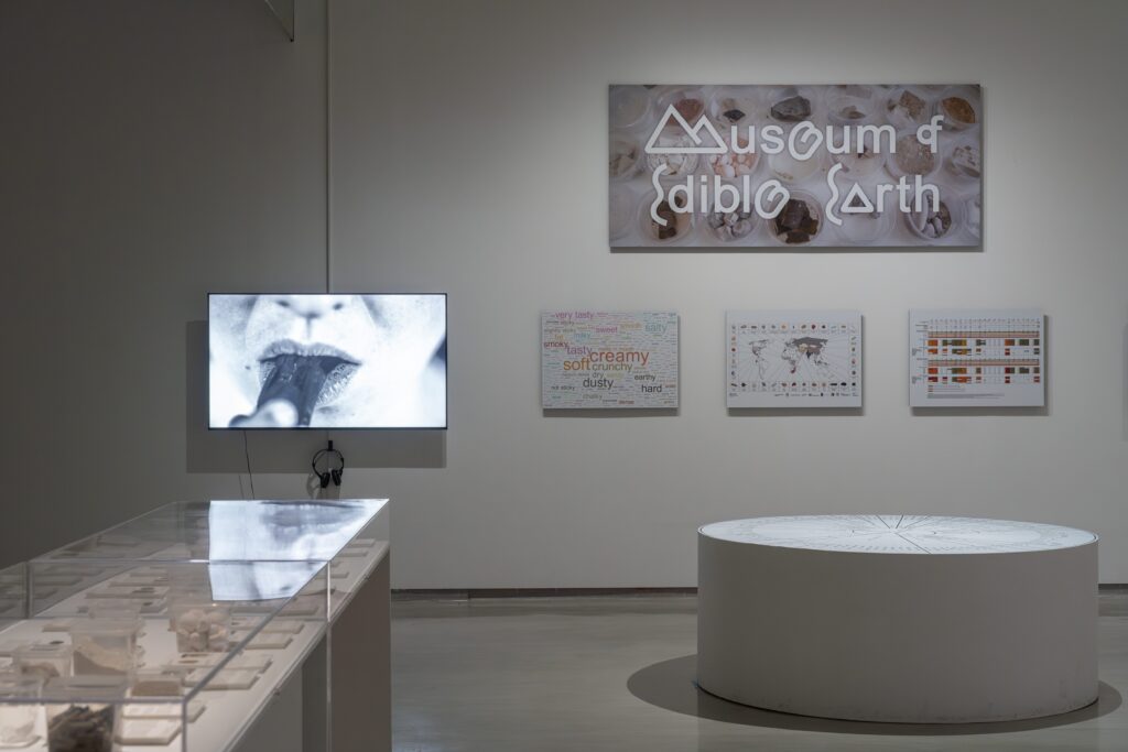 An interior view photo of the Museum of edible earth exhibition space displaying pieces of edible rock.