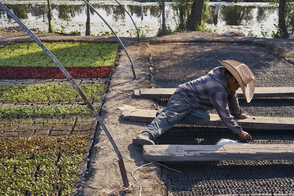 a farmer kneeling on a wooden board planting seeds by hand