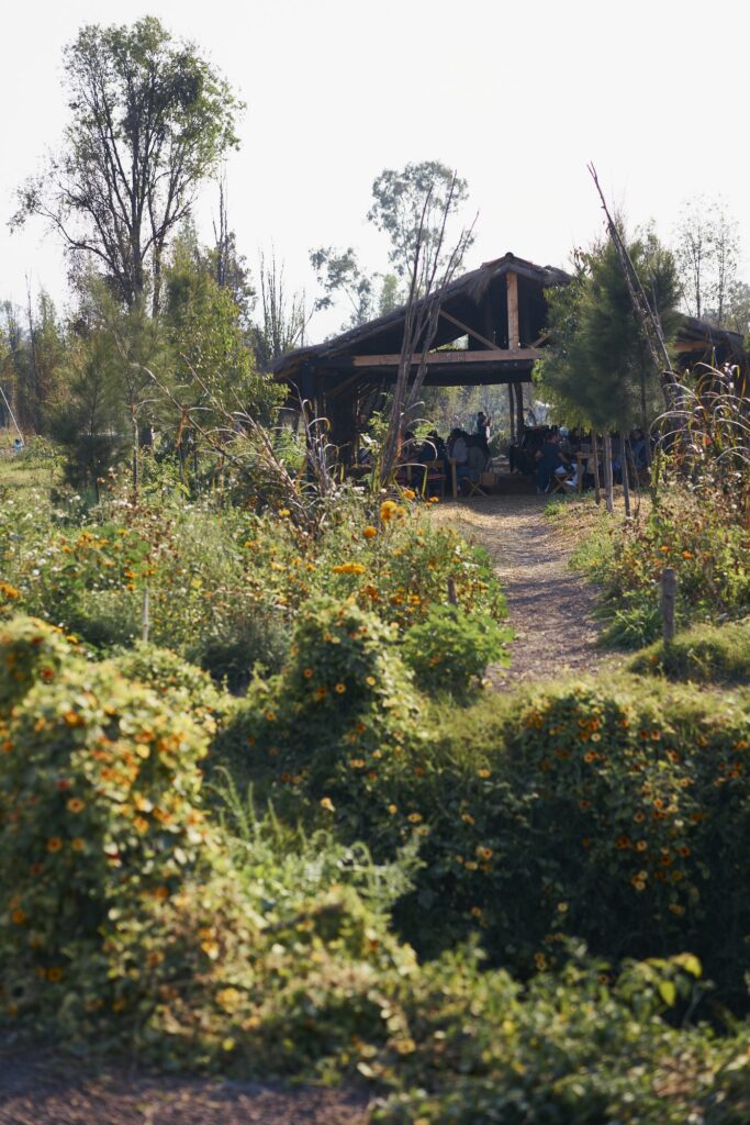 A covered, open-sided building made of wood with people inside situated in a garden full of plants.