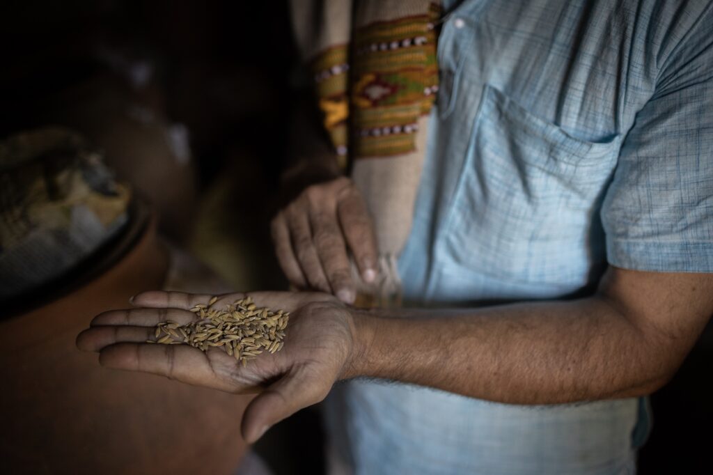 a man's hand holding some rice grains open palm