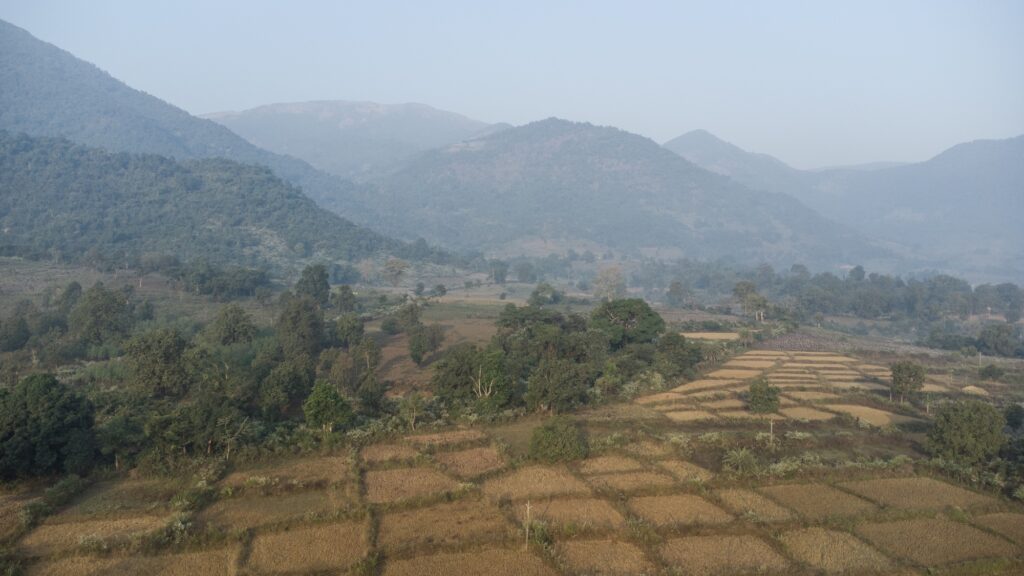 aerial view of farmland in Kadisha