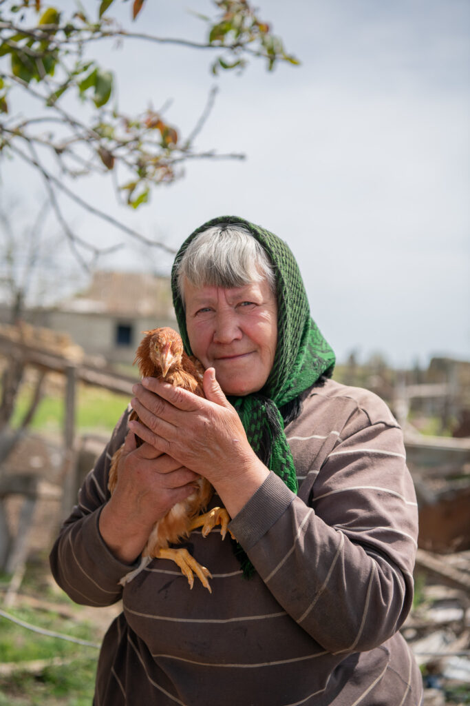 Portrait of a Ukrainian woman in a headscarf holding a chicken