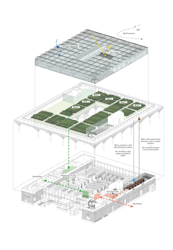 Axonometric diagram by Acme architects for the Rewe Green Farming concept combining a modular timber supermarket on the ground floor with an integrated aquaponics/hydroponics rooftop far