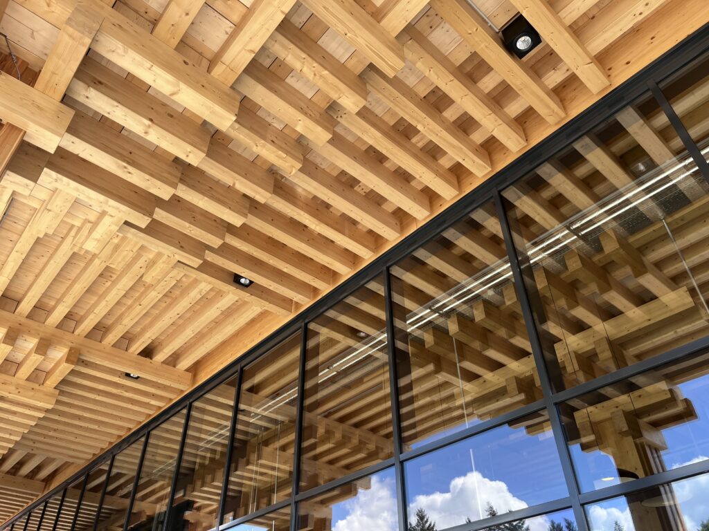 Timber construction detail and glass supermarket walls of the Rewe Green Farming supermarket in Berlin-Lankwitz, 2026, designed by Acme architects. Image © studio_lovell