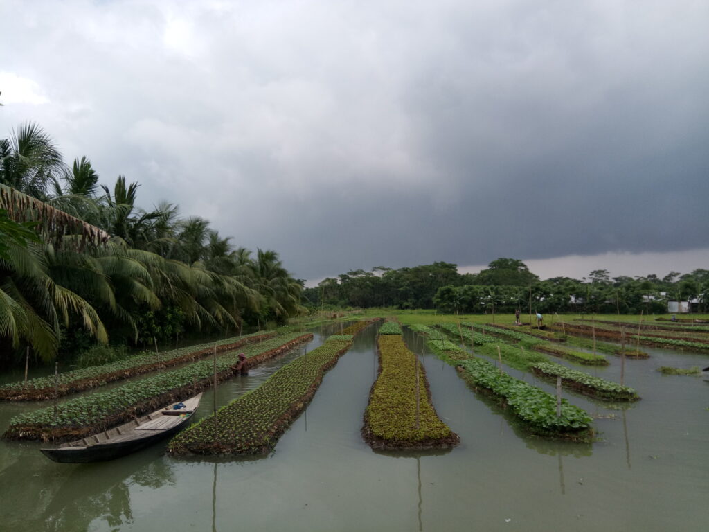 View of floating farming in Barishal, Bangladesh